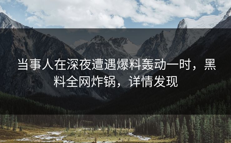 当事人在深夜遭遇爆料轰动一时，黑料全网炸锅，详情发现