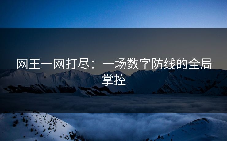 网王一网打尽：一场数字防线的全局掌控