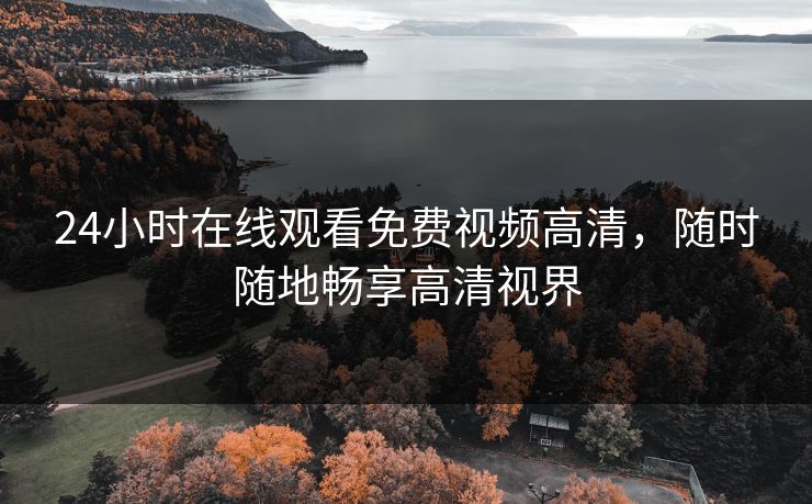 24小时在线观看免费视频高清,随时随地畅享高清视界