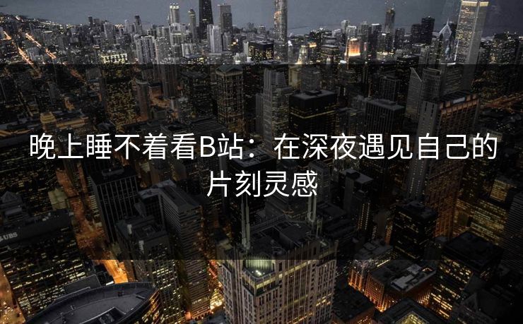 晚上睡不着看B站：在深夜遇见自己的片刻灵感