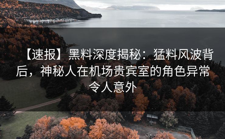 【速报】黑料深度揭秘:猛料风波背后,神秘人在机场贵宾室的角色异常令人意外 【速报】黑料深度揭秘:猛料风波背后,神秘人在机场贵宾室的角色异常令人意外
