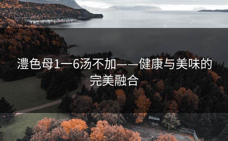 澧色母1一6汤不加——健康与美味的完美融合 澧色母1一6汤不加——健康与美味的完美融合