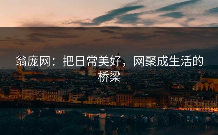 翁庞网:把日常美好,网聚成生活的桥梁