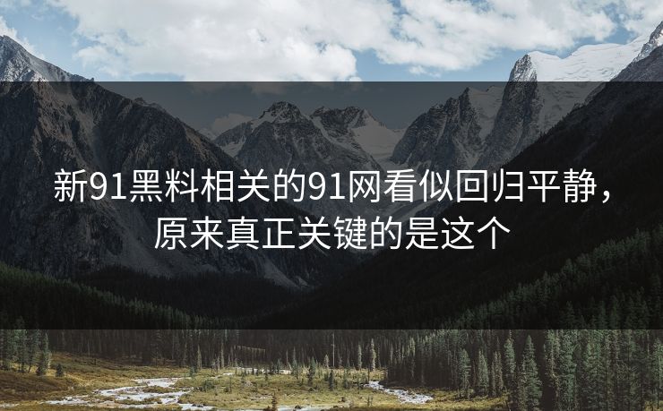 新91黑料相关的91网看似回归平静，原来真正关键的是这个